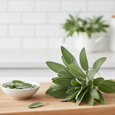 Sage Herb for Cooking, cocktails, and more